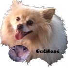 Cathead icon