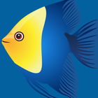 Fish Don't Cry icon