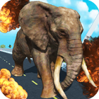 Wild Animals Road Rampage icon