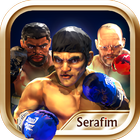 Serafim Boxing icon